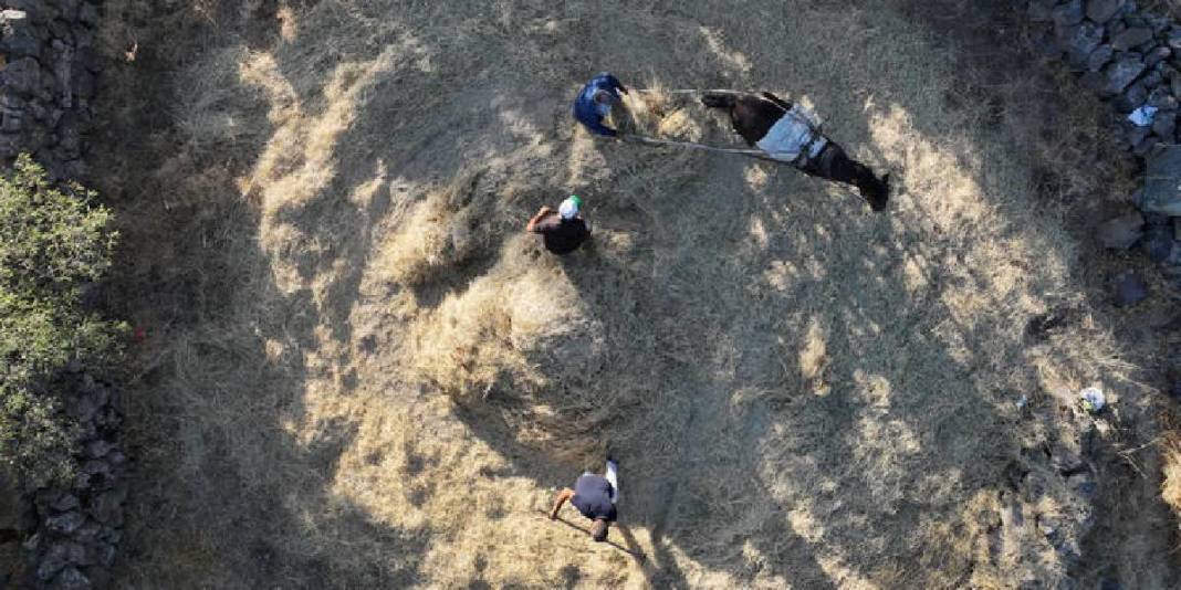 Erciyes eteklerinde yaşatılan gelenek: ‘Düven sürme’ olarak biliniyor, 3 arkadaş yapıyor! 1